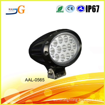 6'' 2016 Best selling products in American industrial cage lights fixture 65w spot led worklight AAL-0565